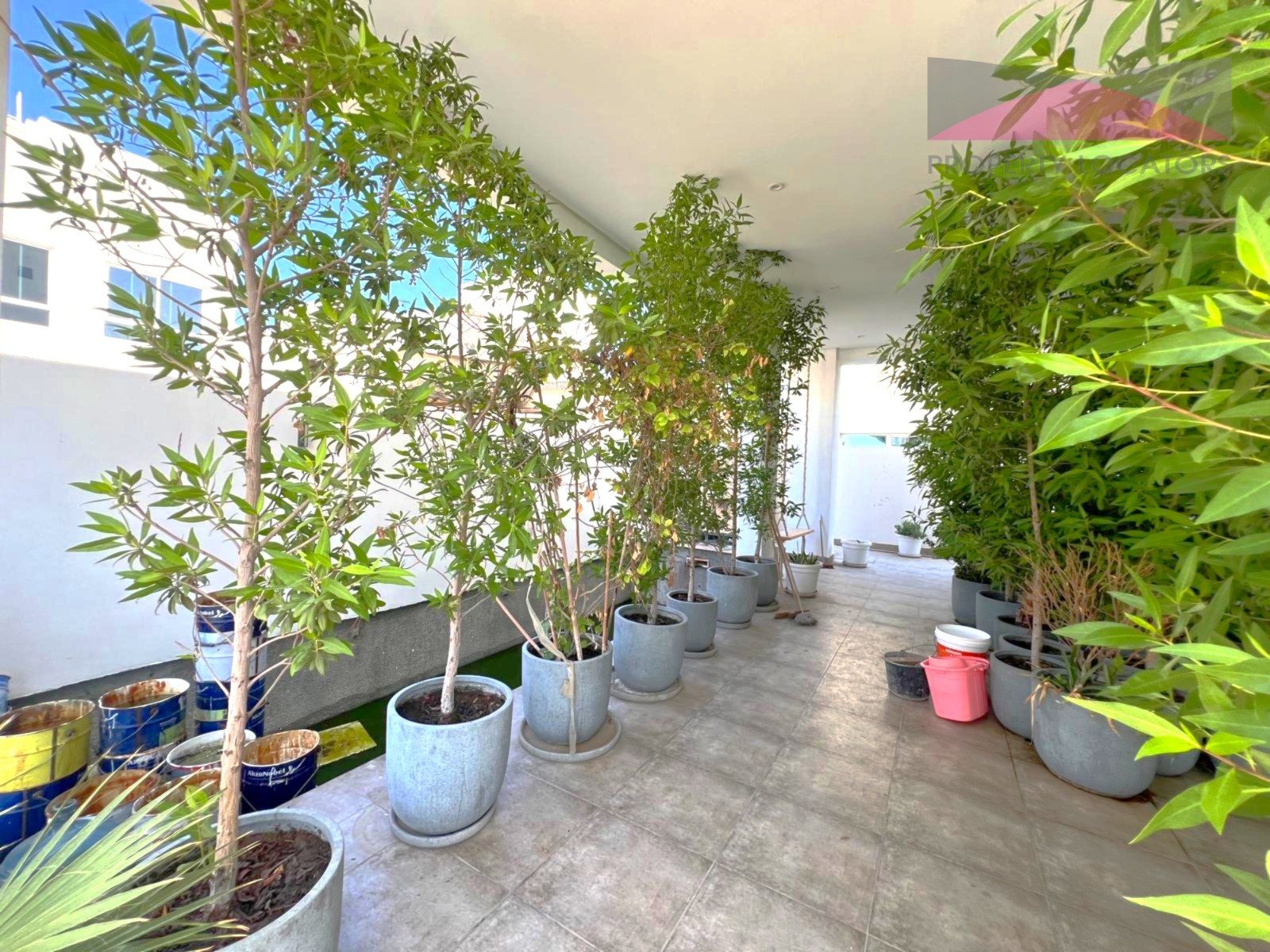 WhatsApp Image 2024-12-09 at 15.31.03_e36346ad